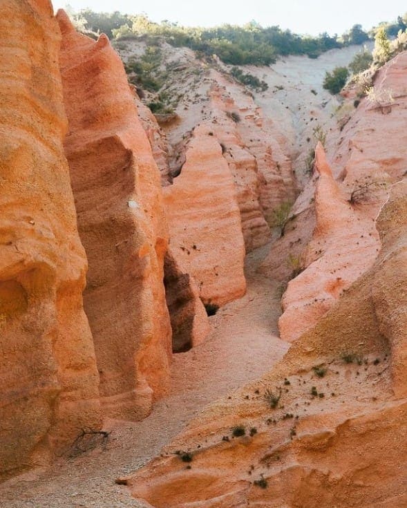 Lame Rosse